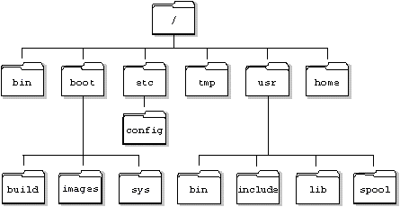File & directory structure