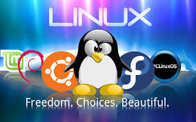 लिनक्स के विभिन्न वर्जन