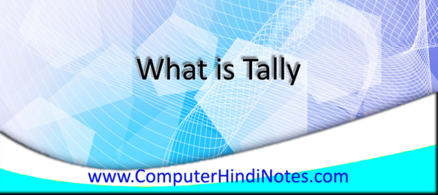टैली क्या है (What is Tally)