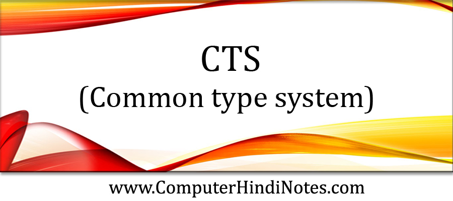 What is Common type system (CTS)