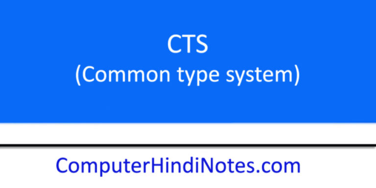 What Is Common Type System