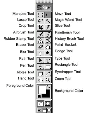 Adobe illustrator tools and functions pdf notes