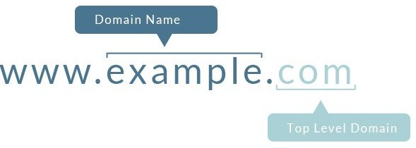 domain name 1