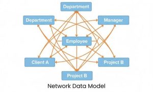 Network Data Model | Computer Hindi Notes